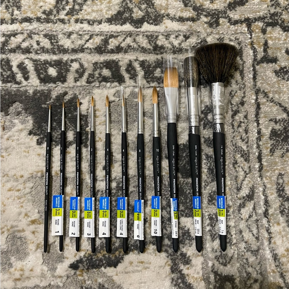 Princeton: Aqua Elite Series - Synthetic Watercolor Paint Brush Bundle (11)